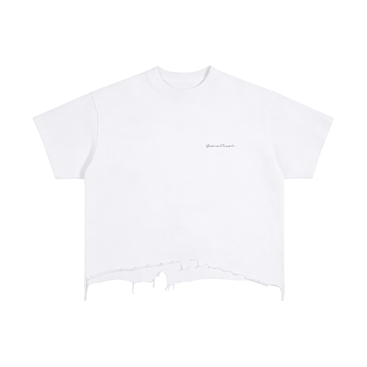 Romans 12:2 Tee